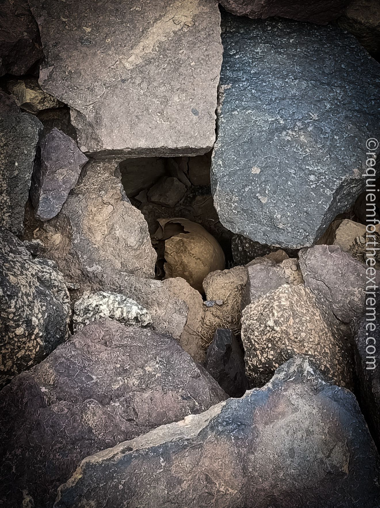 Human skeletal remains of a crash victim tucked under boulders near the Lockheed Constellation wreckage on Mt Tibhirine.